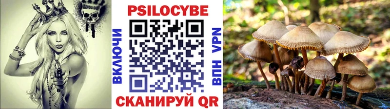 Галлюциногенные грибы GOLDEN TEACHER  Купить где  Аша 